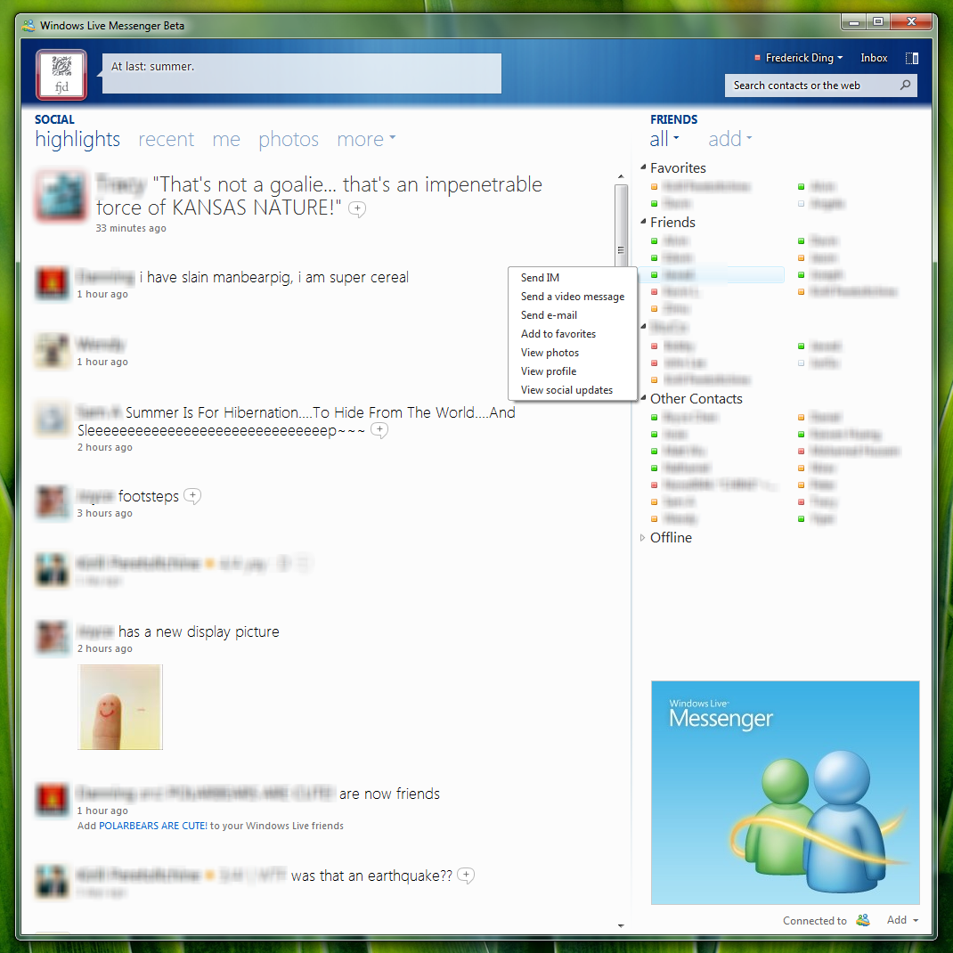 Full view in Windows Live Messenger Wave 4